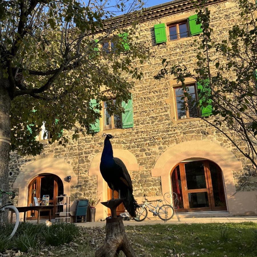 Andancette Domaine De Pipangaille B&B 외부 사진