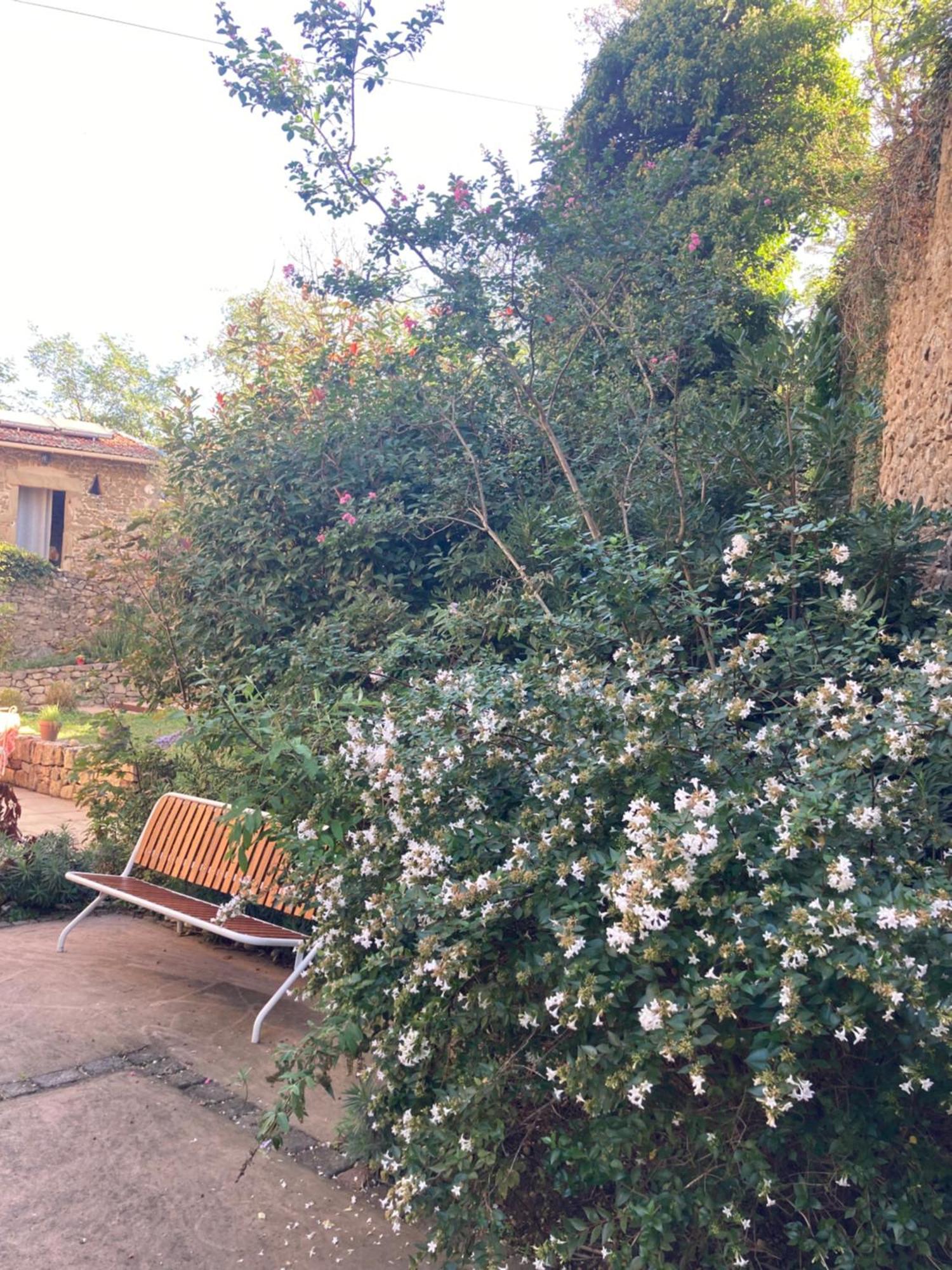 Andancette Domaine De Pipangaille B&B 외부 사진